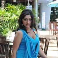 Payal Ghosh New Hot and Spicy Gallery | Picture 90603